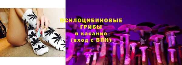 ГАЛЛЮЦИНОГЕННЫЕ ГРИБЫ Арсеньев