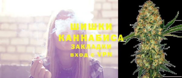 ГАЛЛЮЦИНОГЕННЫЕ ГРИБЫ Арсеньев