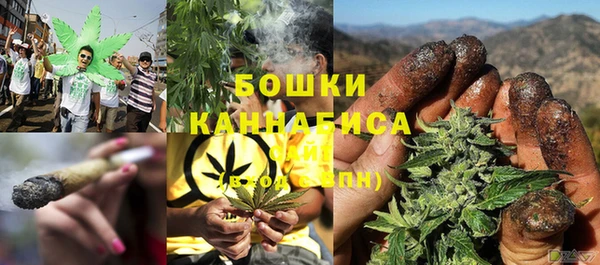 ГАЛЛЮЦИНОГЕННЫЕ ГРИБЫ Арсеньев