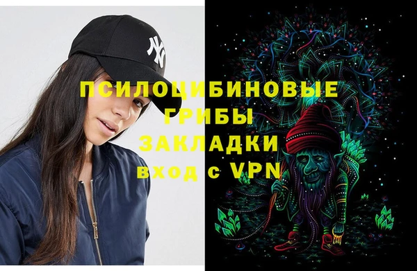 бошки Аркадак