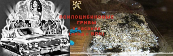прущая мука Армянск