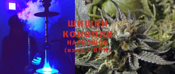 ГАЛЛЮЦИНОГЕННЫЕ ГРИБЫ Арсеньев