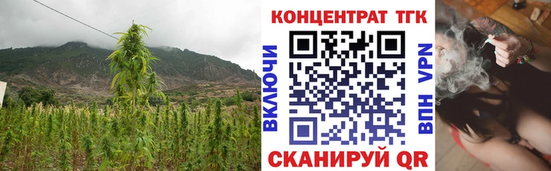 кракен рабочий сайт  Игарка  ТГК гашишное масло 