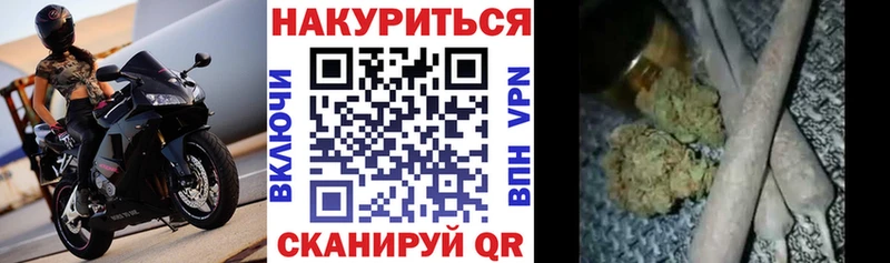 kraken вход  Игарка  Бошки Шишки планчик 